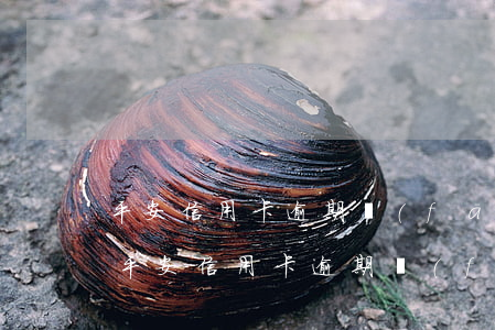 平安信用卡逾期發(fā)出傳票怎么辦-平安信用卡逾期發(fā)出傳票怎么辦