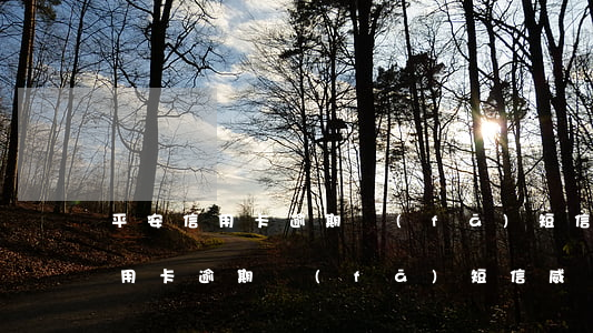 平安信用卡逾期發(fā)短信威脅(平安信用卡逾期發(fā)短信威脅)