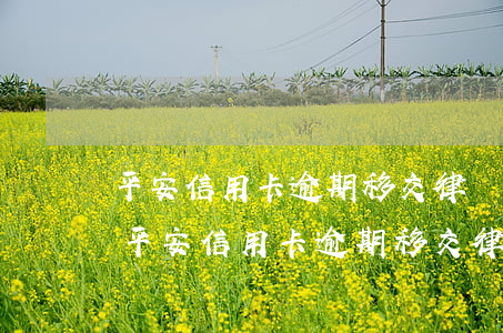 平安信用卡逾期移交律師事務(wù)所-平安信用卡逾期移交律師事務(wù)所怎么辦