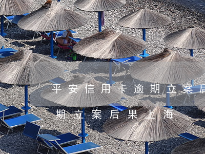 平安信用卡逾期立案后果上海(平安信用卡逾期立案后果上海)