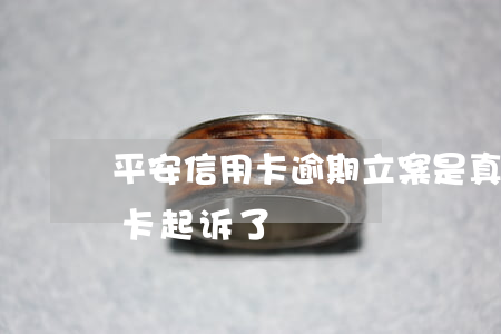 平安信用卡逾期立案是真的吗-被平安信用卡起诉了