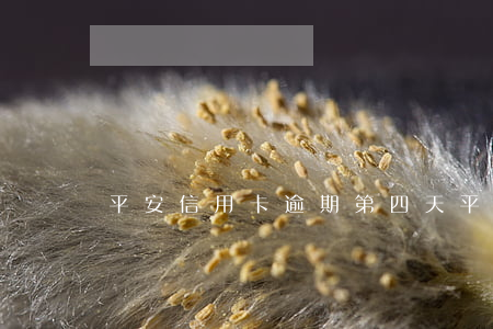 平安信用卡逾期第四天(平安逾期5天)