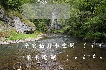 平安信用卡逾期結(jié)清減免(平安信用卡逾期產(chǎn)生的利息能不能減免)