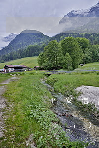 平安信用卡逾期給銀監(jiān)會(huì)寫(xiě)信模板