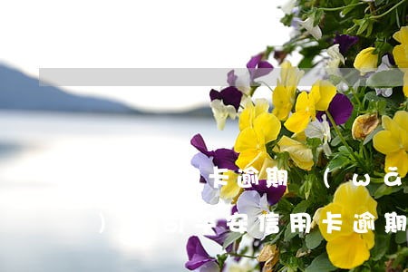 平安信用卡逾期網(wǎng)絡(luò)公司(平安信用卡逾期了說起訴我了是不是真的)