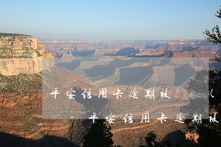 平安信用卡逾期被凍結(jié)了怎么解凍-平安信用卡逾期被凍結(jié)了怎么解凍呢