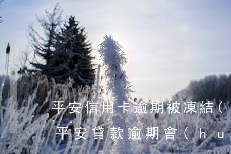 平安信用卡逾期被凍結(jié)怎么還-平安貸款逾期會(huì)凍結(jié)名下所有銀行卡嗎