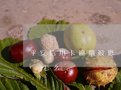 平安信用卡逾期被恐嚇(平安信用卡逾期被恐嚇怎么辦)