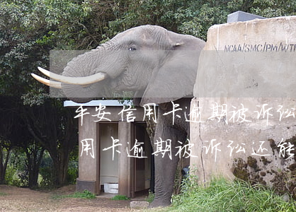 平安信用卡逾期被诉讼还能协商吗-平安信用卡逾期被诉讼还能协商吗知乎