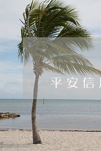 平安信用卡逾期被起訴會(huì)怎樣