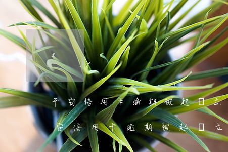 平安信用卡逾期被起訴立案后怎么解決-平安信用卡逾期被起訴立案后怎么解決的