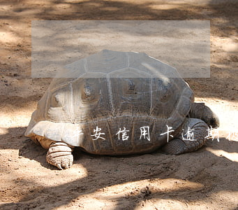 平安信用卡逾期被鎖卡(信用卡 被鎖)