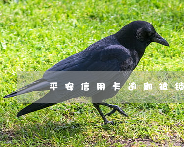 平安信用卡逾期被锁卡(信用卡 被锁)