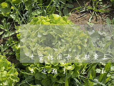 平安信用卡逾期要上門 欠平安信用卡4000逾期了,說上門取證?怎么辦?