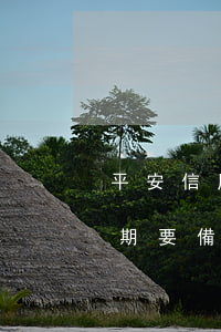 平安信用卡逾期要備案派出所 平安信用卡逾期要備案派出所調(diào)解嗎