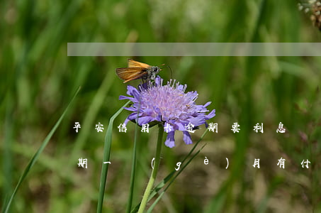 平安信用卡逾期要利息嗎(平安銀行信用卡逾期一個(gè)月有什么后果)