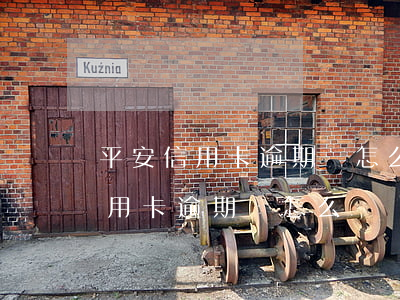 平安信用卡逾期該怎么辦確實沒錢-平安信用卡逾期該怎么辦確實沒錢還了