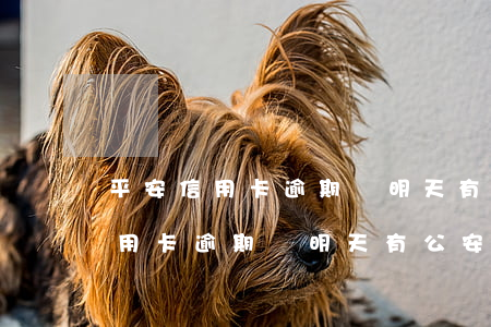 平安信用卡逾期說明天有公安上門-平安信用卡逾期說明天有公安上門是真的嗎