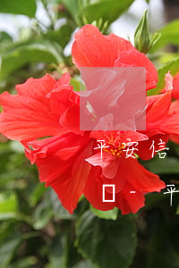 平安信用卡逾期說要報(bào)案是真的嗎-平安信用卡逾期說要報(bào)案是真的嗎?