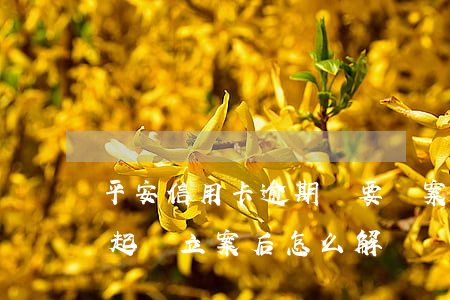 平安信用卡逾期說要報案(平安信用卡逾期被起訴立案后怎么解決)