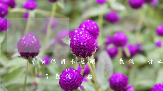 平安信用卡逾期讓還最低(為什么平安信用卡還了最低還要還)