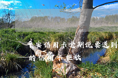 平安信用卡逾期说要送到法院(平安银行寄来的信用卡拒收)