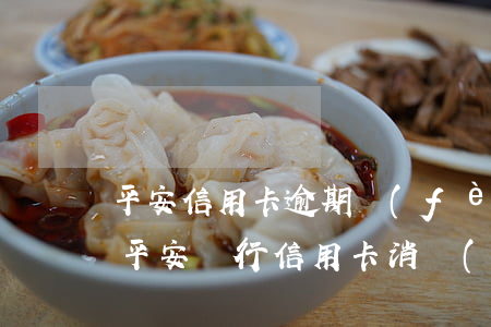 平安信用卡逾期費(fèi)怎么查(怎樣查平安銀行信用卡消費(fèi)記錄)