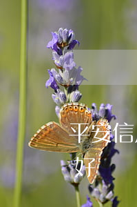 平安信用卡逾期費多少錢(有逾期平安信用卡好辦嗎)