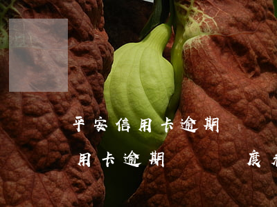 平安信用卡逾期賬單額度看不到了-平安信用卡逾期賬單額度看不到了怎么辦