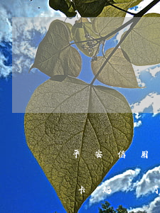 平安信用卡逾期起訴地在那(被平安銀行信用卡起訴了,不去應(yīng)訴會(huì)怎樣)