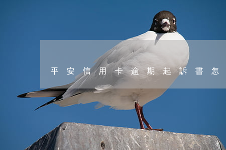 平安信用卡逾期起訴書怎么寫