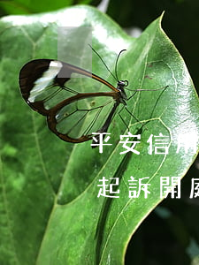 平安信用卡逾期起訴案件(平安信用卡逾期被起訴開庭前法院會通知嗎)