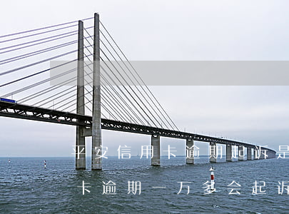 平安信用卡逾期起诉是什么样子的(平安信用卡逾期一万多会起诉吗)