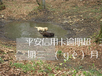 平安信用卡逾期超過三天(平安銀行信用卡逾期三個(gè)月會(huì)有什么后果)