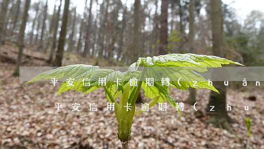 平安信用卡逾期轉(zhuǎn)交法催部(平安信用卡逾期轉(zhuǎn)交法催部)