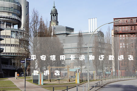 平安信用卡逾期还款进去(平安信用卡逾期还款进去)