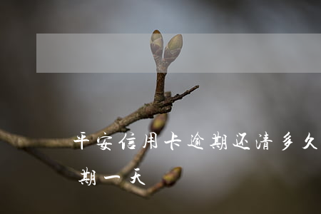 平安信用卡逾期还清多久清零(平安信用卡 逾期一天)