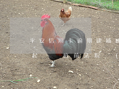 平安信用卡逾期逮捕通告(平安信用卡逾期被起訴開庭前法院會(huì)通知嗎)