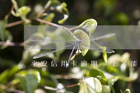 平安信用卡逾期還上了能正常用嗎