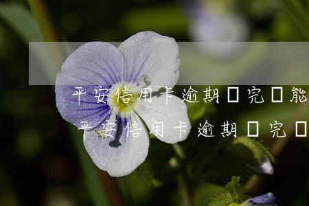平安信用卡逾期還完還能繼續(xù)用-平安信用卡逾期還完還能繼續(xù)用嗎