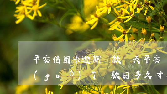 平安信用卡逾期還款兩天(平安銀行信用卡過(guò)了還款日多久才算逾期)