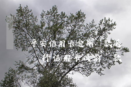 平安信用卡逾期還款返現(xiàn)(平安銀行信用卡提前還款)