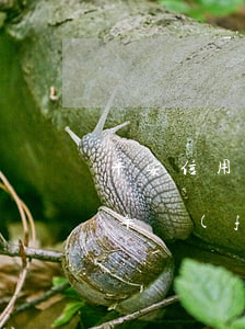 平安信用卡逾期采集信息(平安信用卡逾期兩年發(fā)信息說到地址上門執(zhí)法)