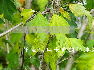 平安信用卡違約金沖銷影響征信嗎