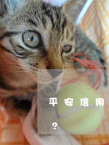 平安信用卡還款日逾期一天：是否會影響征信？