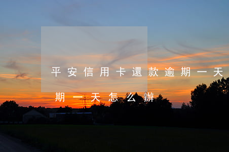 平安信用卡還款逾期一天(平安信用卡還款逾期一天怎么辦)