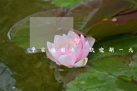 平安信用卡還款逾期一天怎么算