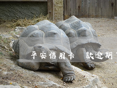 平安信用卡還款逾期了5天(平安逾期三天)