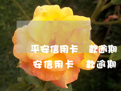 平安信用卡還款逾期會(huì)怎么樣(平安信用卡還款逾期會(huì)怎么樣嗎)