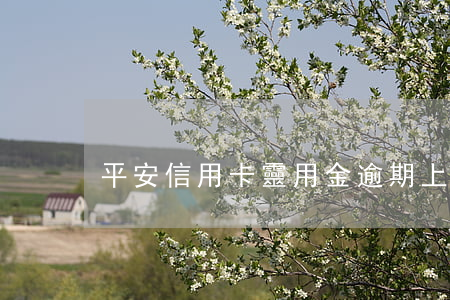 平安信用卡靈用金逾期上證信嗎